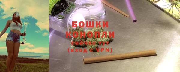 амф Елизово
