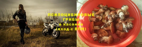 экстази Арсеньев